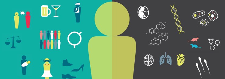 Difference between sex and gender