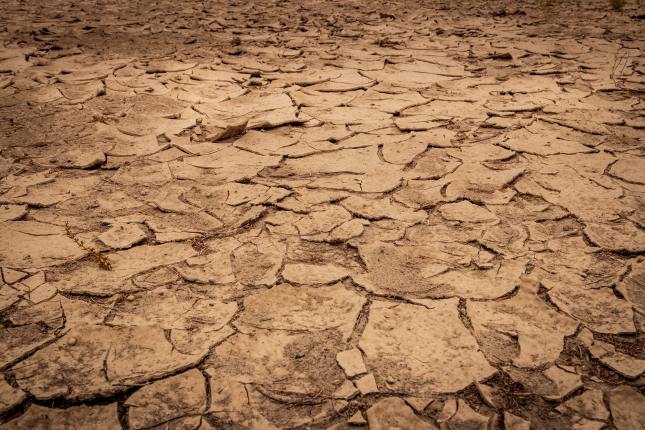 Photo: Drought