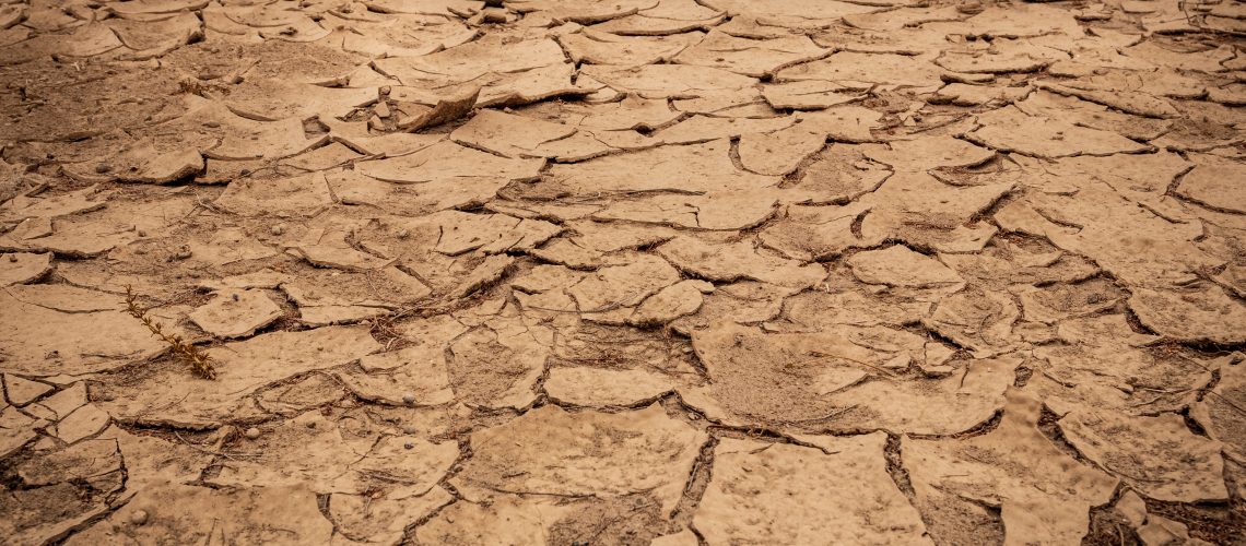 Photo: Drought